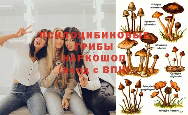 мяу мяу мука Осинники