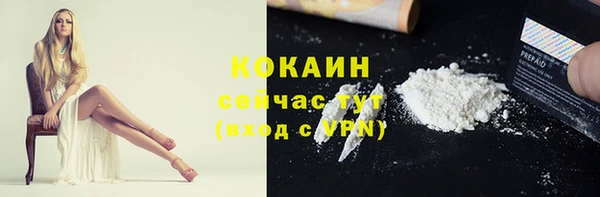 спиды Няндома