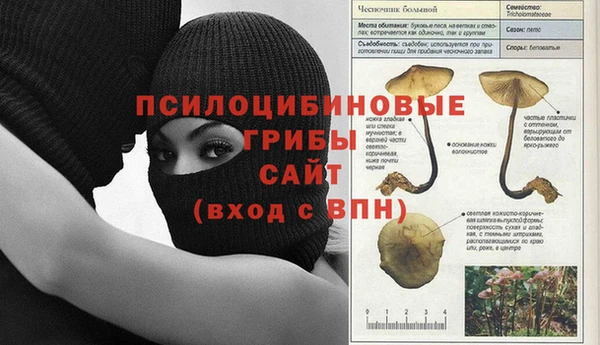 метадон Краснослободск