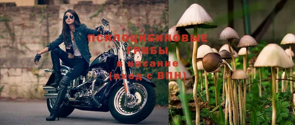мет Нязепетровск