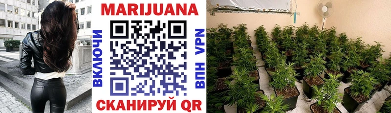 Конопля White Widow  Никольское 